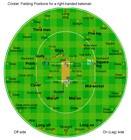 fielding positions in cricket. Adamstown Cricket Club Photo